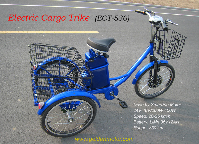 Electric cargo trike,Bike conversion kit, Electric bike motor, electric bike, hub motor