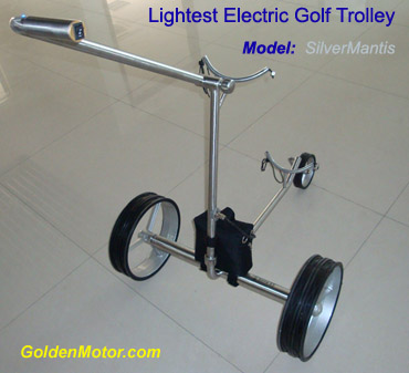 golf buggy electric motor