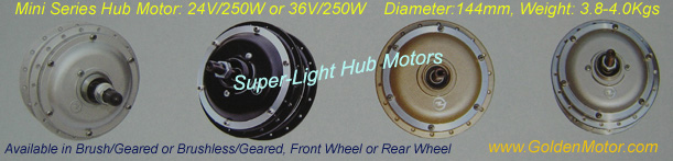 mini hub motor